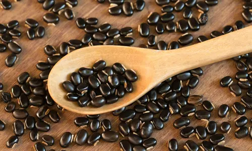 Mucuna Pruriens & Maca Root